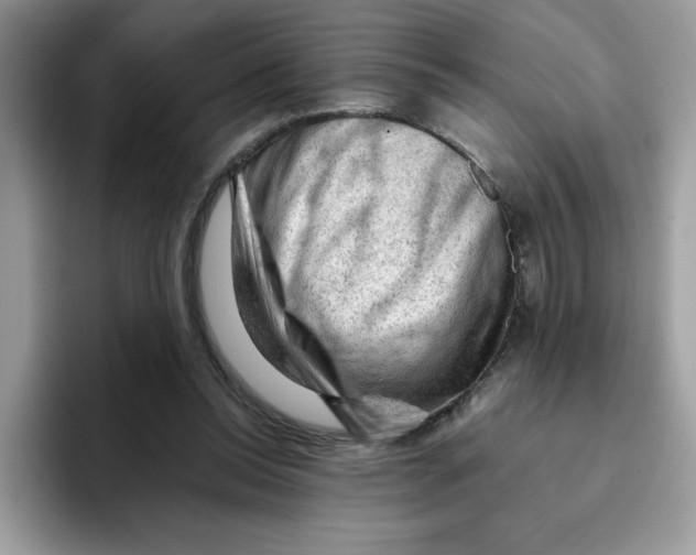 X0000093430350200711091440