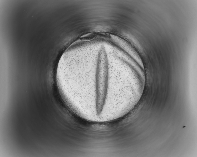 X0000093430354200711091440