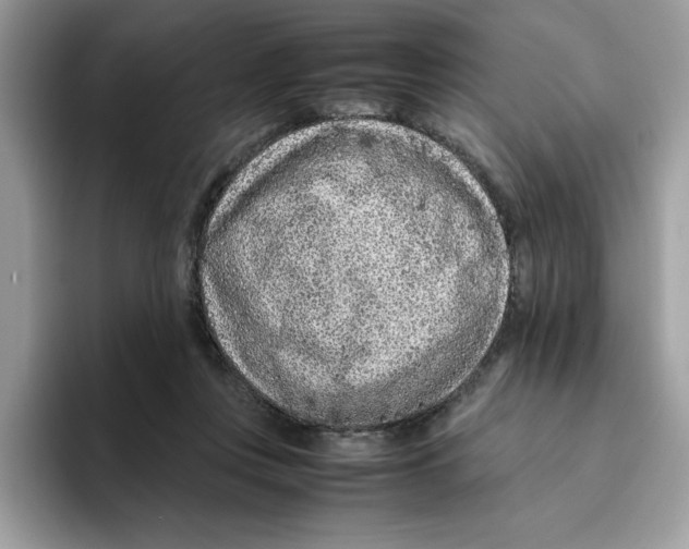 X0000093430359200711091440