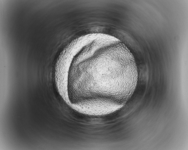 X0000093430363200711091440