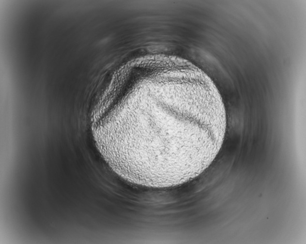 X0000093430367200711091440