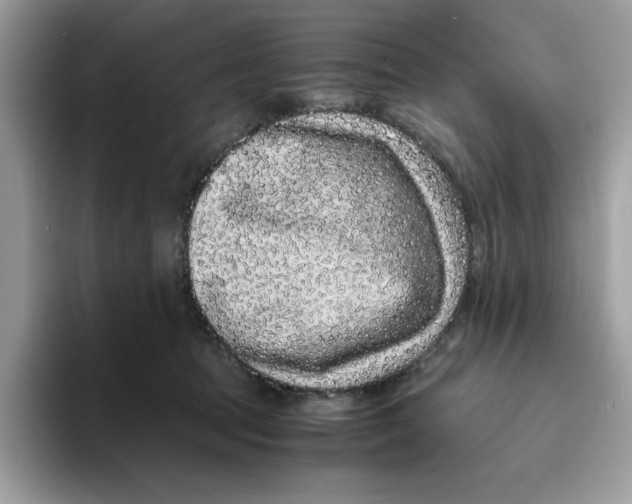X0000093430369200711091440