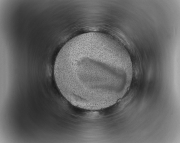 X0000093430374200711091440