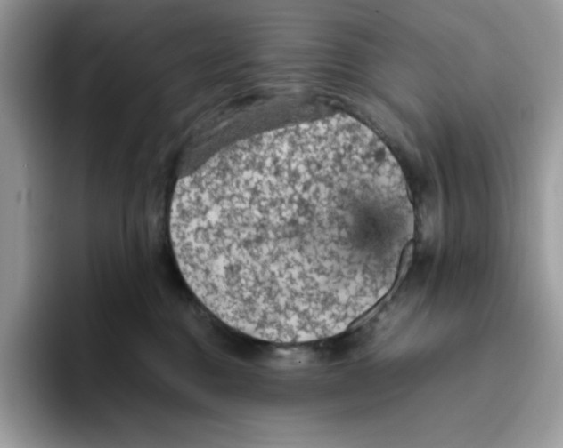 X0000093430376200711091440