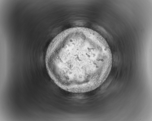 X0000093430377200711091440