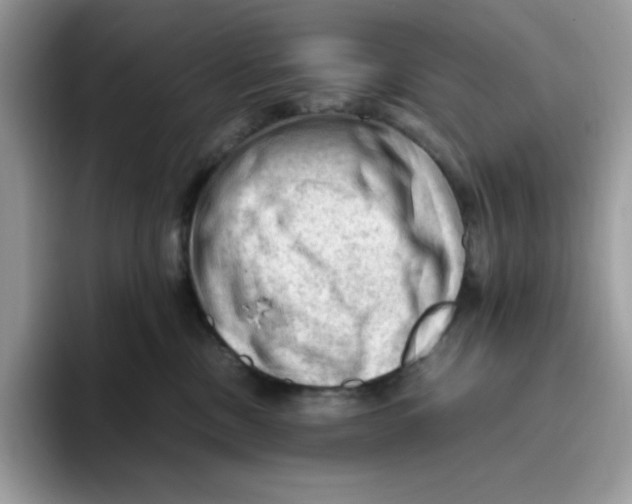 X0000093430378200711091440