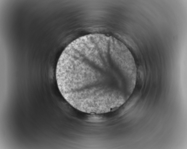 X0000093430380200711091440