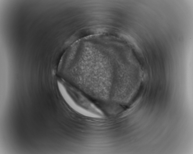 X0000093430382200711091440