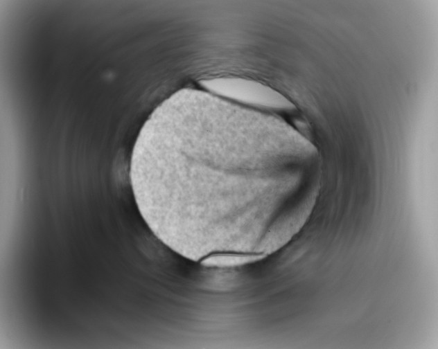 X0000093430384200711091440