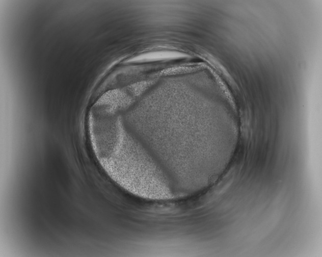 X0000093430386200711091439