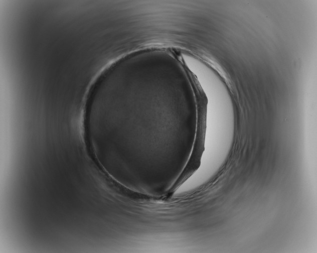 X0000093430387200711091439