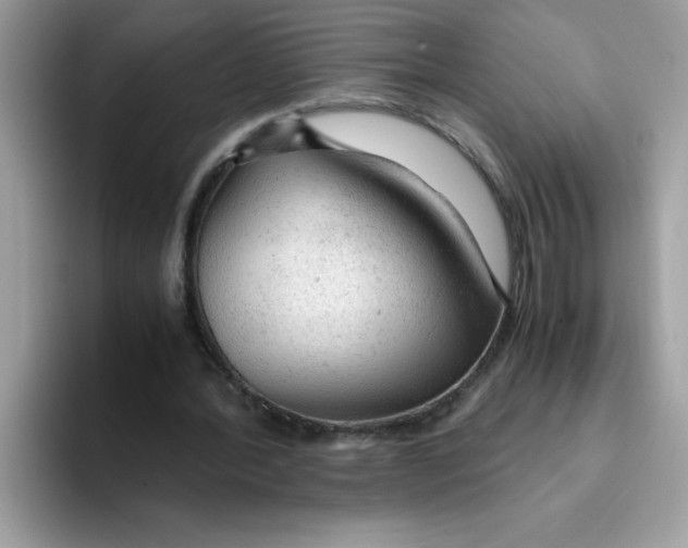 X0000093430388200711091439