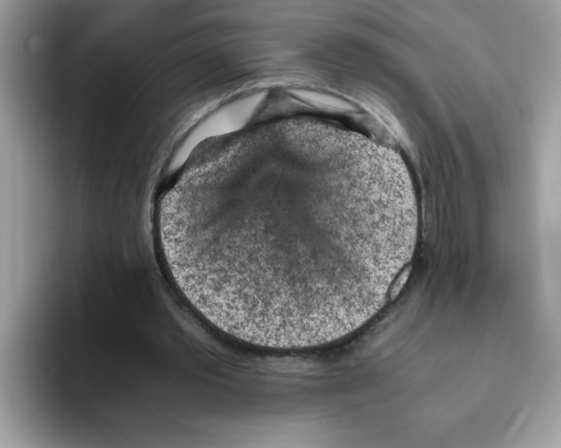 X0000093430389200711091439