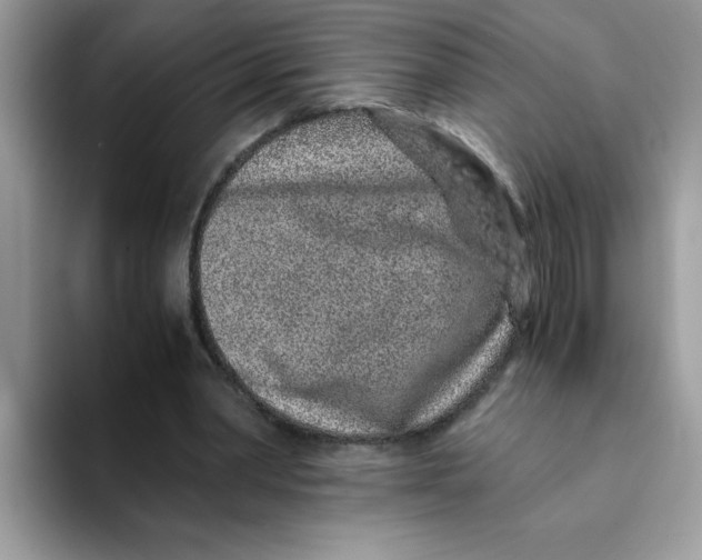 X0000093430390200711091439
