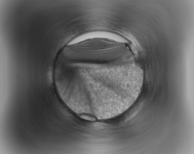 X0000093430393200711091439