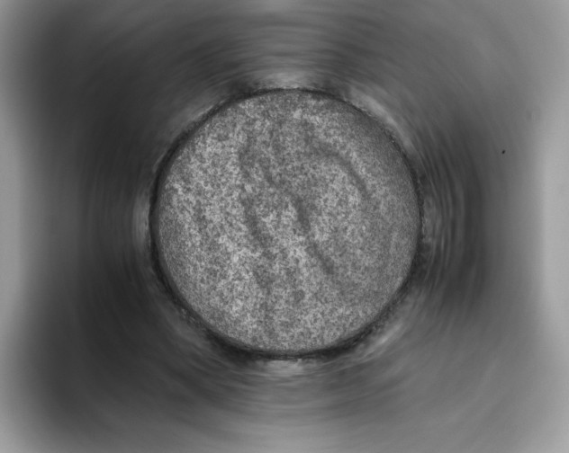X0000093430394200711091439