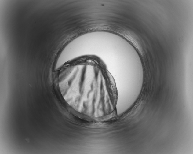 X0000093430397200711091439