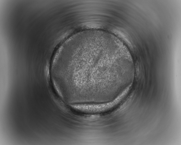 X0000093430398200711091439