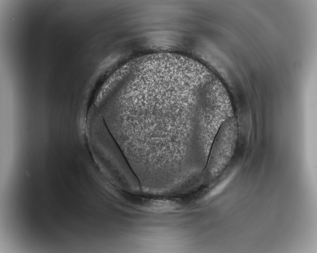 X0000093430399200711091439