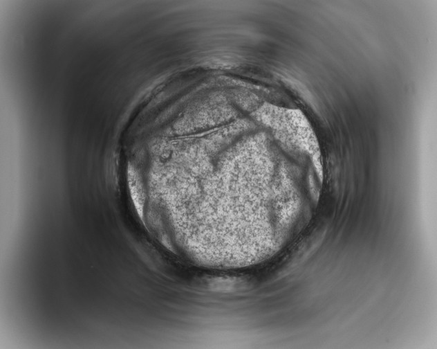 X0000093430400200711091439