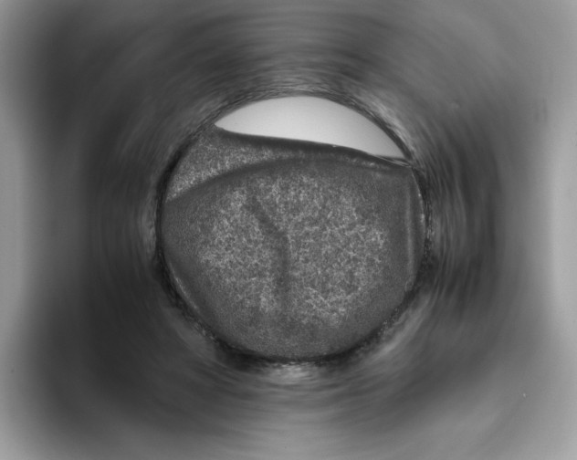 X0000093430402200711091439
