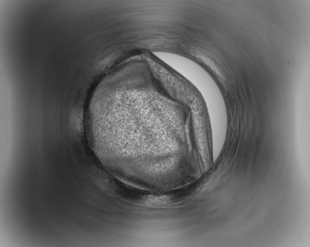 X0000093430403200711091439