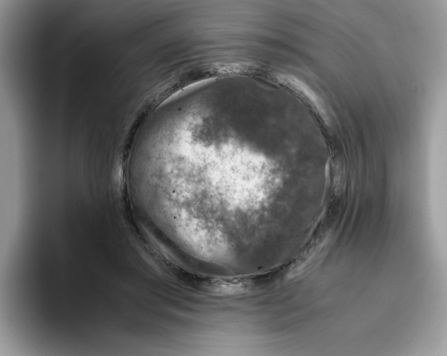 X0000093430405200711091439