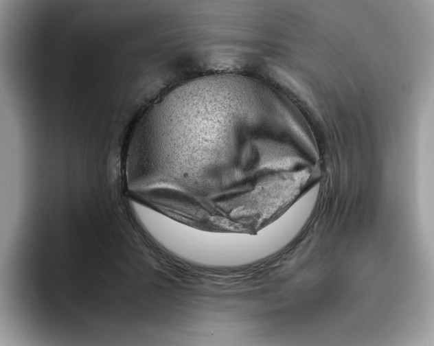 X0000093430407200711091439