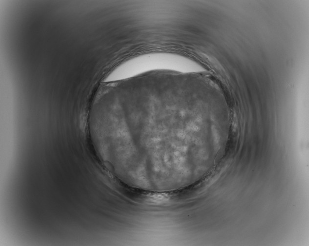 X0000093430409200711091439