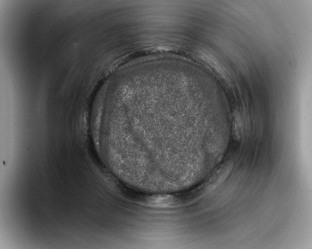 X0000093430410200711091439