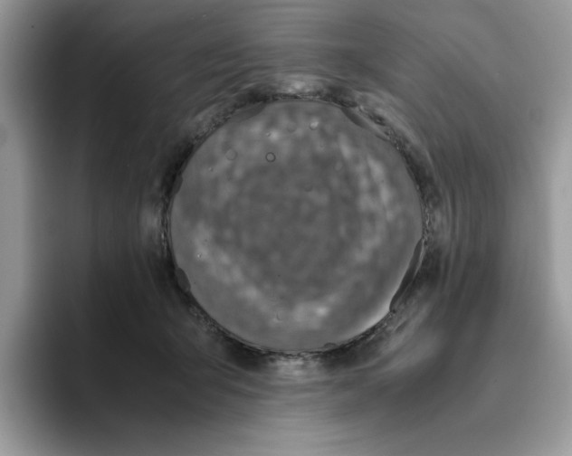 X0000093430415200711091439