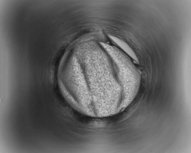 X0000093430416200711091439