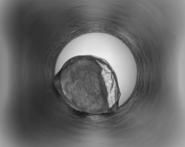 X0000093430417200711091439