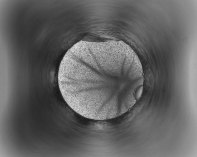 X0000093430420200711091439