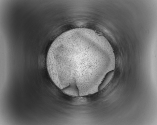 X0000093430421200711091439