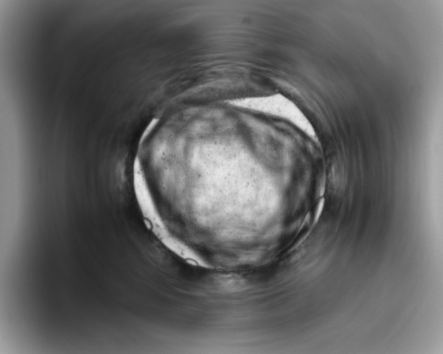 X0000093430424200711091439