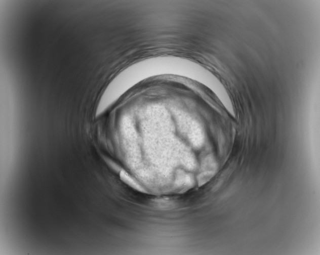 X0000093430425200711091439