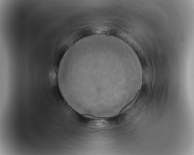 X0000093430427200711091439