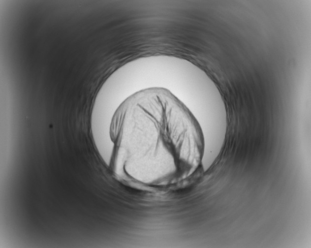 X0000093430428200711091439