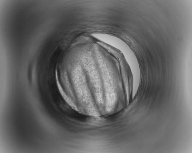 X0000093430429200711091439