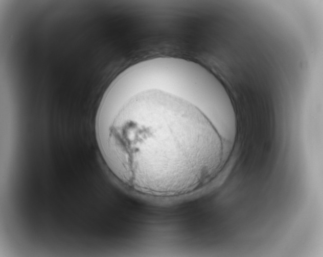 X0000093430432200711091439