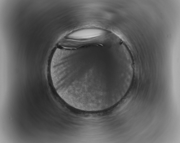 X0000093430434200711091438