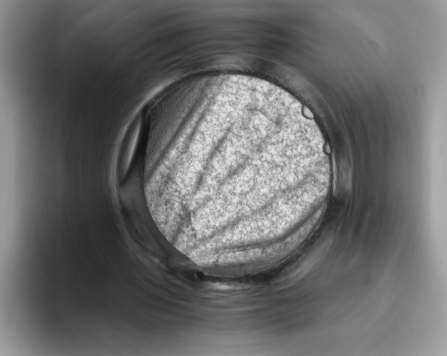 X0000093430435200711091438