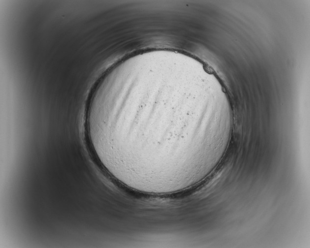 X0000093430437200711091438