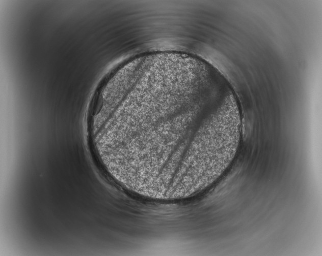 X0000093430438200711091438