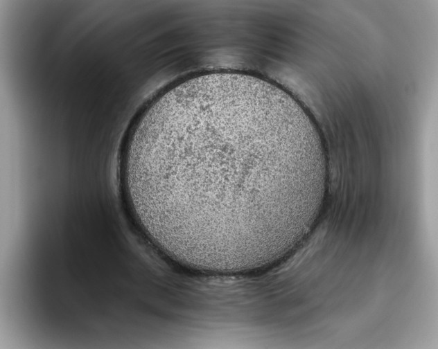 X0000093430439200711091438