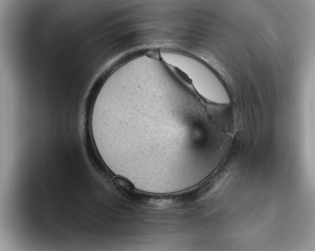 X0000093430440200711091438