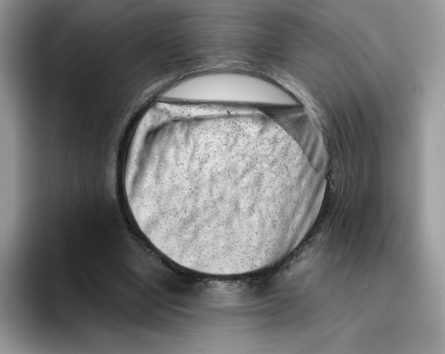 X0000093430442200711091438