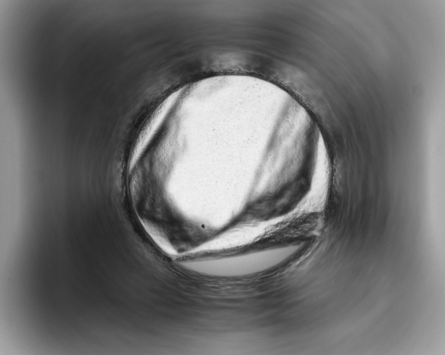 X0000093430449200711091438
