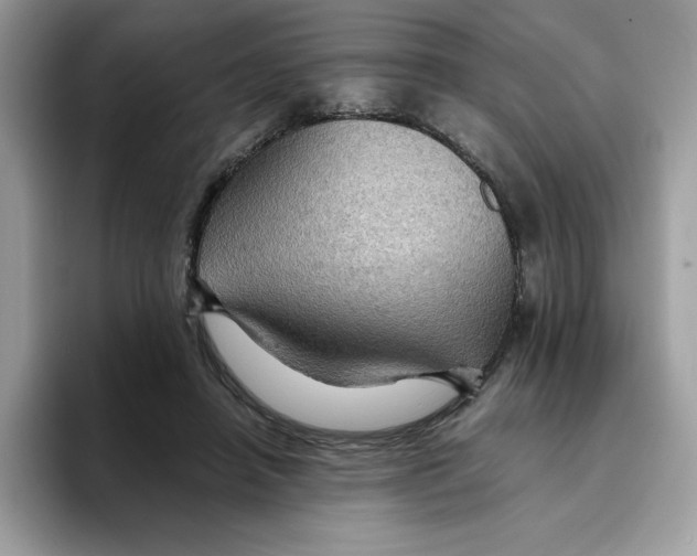 X0000093430450200711091438